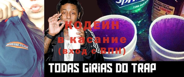 спиды Арсеньев