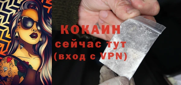 спиды Арсеньев