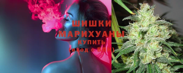 спиды Арсеньев